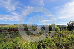 Wild green landscape on the island of Kauai Hawaii