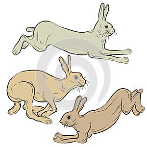 Wild hare running set