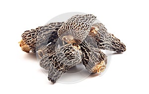 Wild Harvested Morel Mushrooms Trimmed and Dried on a White Background