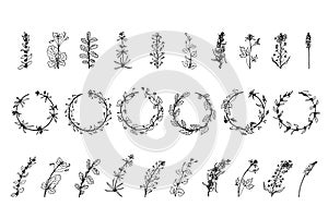 Wild herbs, drawn by a black line on a white background. Vector. Set. Hand drawing