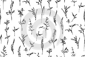 Wild herbs hand drawn seamless pattern. Wildflower plants painted by ink outline. Vector modern hand drawn botanical endless