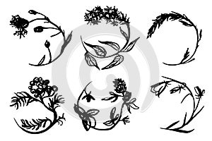 Wild herbs. A Set. Vector illustration. Drawn by a black line on a white background. Hand drawing.