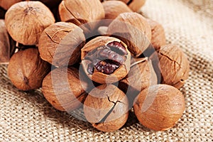 Wild hickory nuts