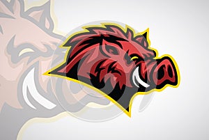 Wild Hog Angry Aggressive Boar Vector Logo Design Esports Mascot Template photo