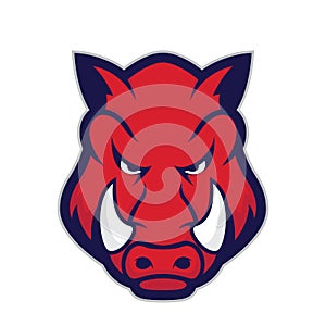 Wild hog or boar head mascot photo