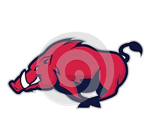 Wild hog or boar mascot