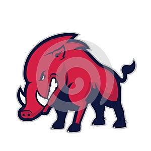 Wild hog or boar mascot photo