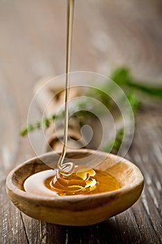 Divoký med 