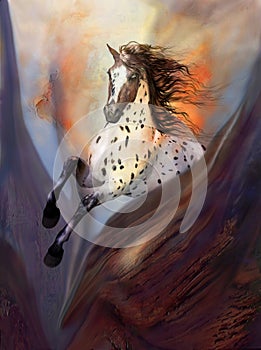Wild Horse 2