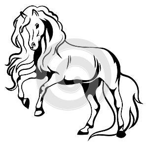 Wild Horse. Black and white illustration of a mustang standing on its hind legs. Vector drawing of a farm animal. Tattoo