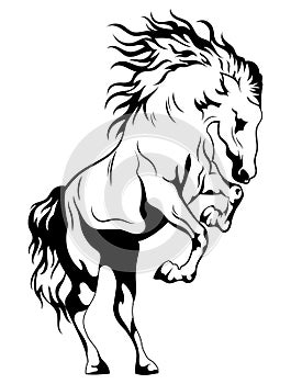 Wild Horse. Black and white illustration of a mustang standing on its hind legs. Vector drawing of a farm animal. Tattoo