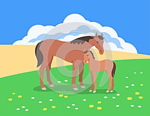 Wild horse and a foal in a summer meadow in front of a cloudy blue sky flat illustration