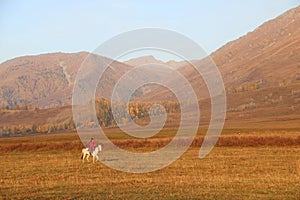 Wild horse galloping on the vast grassland