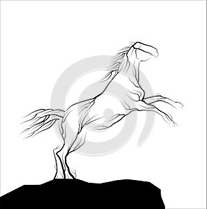 Wild horse look like tree branches on the white background, spirit of extinct animal, tarpan concept,