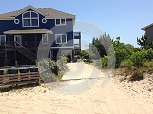 Wild horses in corolla outer banks North Carolina