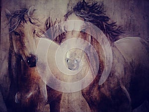 Wild horses couldn`t drag me away photo