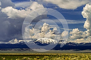 Wild Horses Grazing On Blm Land with Sage brush, cloudy sky, white clouds and rocky hills, California