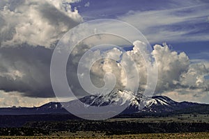 Wild Horses Grazing On Blm Land with Sage brush, cloudy sky, white clouds and rocky hills, California