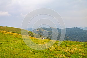 Wild horses in a mountain landscape