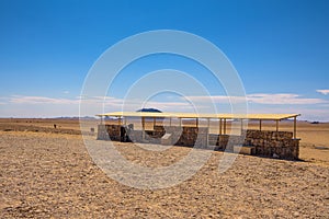 Wild horses of the Namib desert at observation viewpoint near Aus, south Namibia