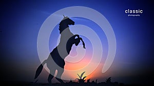 A wild horsh dancing on the ground.