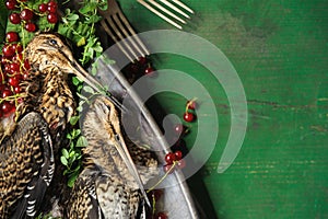 Wild hunting fowls in cooking. Two snipe or woodcock lie on metal dish. Wildfowl hunting.