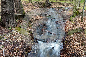 Wild inviolate untouched stream watercourse