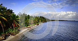 Wild island beach coastline with jungle and exotic lagoon tropical palm trees and caribbean sea, aerial seascape video