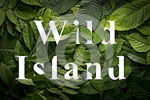 Wild island concept of wild green jungle foliage.