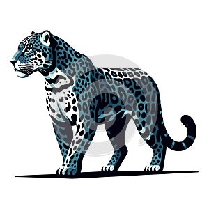 Wild jaguar leopard full body vector illustration, zoology illustration, animal predator big cat design template isolated on white