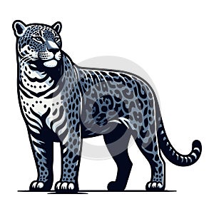 Wild jaguar leopard full body vector illustration, zoology illustration, animal predator big cat design template isolated on white