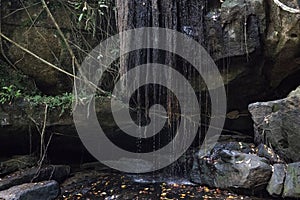 Wild jungle waterfall with rocks and aerial roots of trees. Water flow in jungle. Rocky riverbed with tree roots.