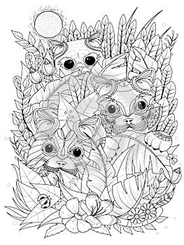 Wild kitties adult coloring page