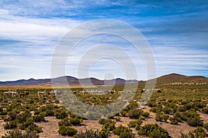 Wild landscape of Eduardo Avaroa National Park, Bolivia