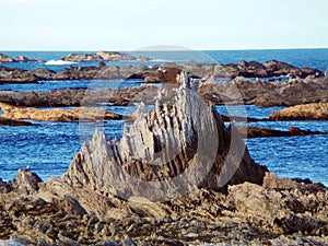 Wild Landscape of Kaikoura