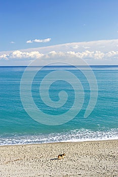 Wild landscape of the Mediterranean Sea in Spain