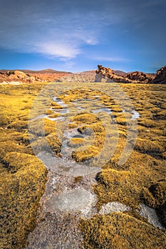 Wild landscape near the Black Lagoon in Eduardo Avaroa National Park, Bolivia