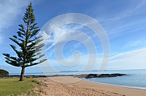 Wild landscape New Zealand