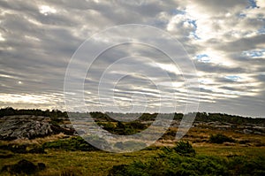 Wild landscape in southern sweden during autumn