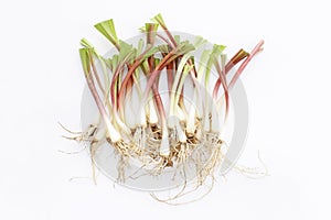 Wild leeks