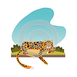 Wild leopard feline animal icon
