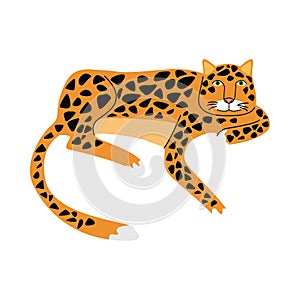 Wild leopard feline animal icon