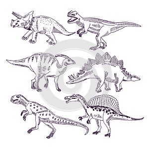 Wild life with dinosaurs. Hand drawn illustrations set of t rex and other dino types