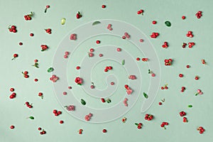 Wild lingonberry pattern on green background. Top view. Summer berries texture.