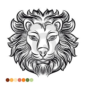 Wild lion coloring page