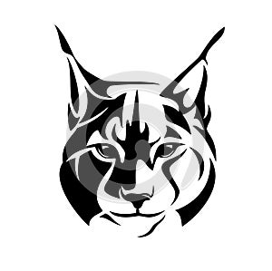 Wild lynx cat black vector head outline