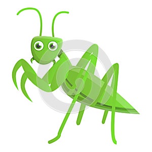 Wild mantis icon, cartoon style