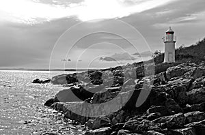 Wild marine landscape