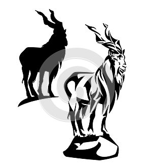 Wild markhor mountain goat standing on rock black and white vector silhouette and outline