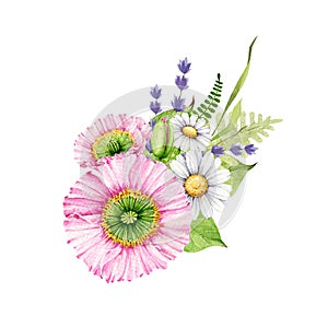 Wild meadow flower springtime decoration. Watercolor illustration. Spring tender poppy, daisy, lavender flowers